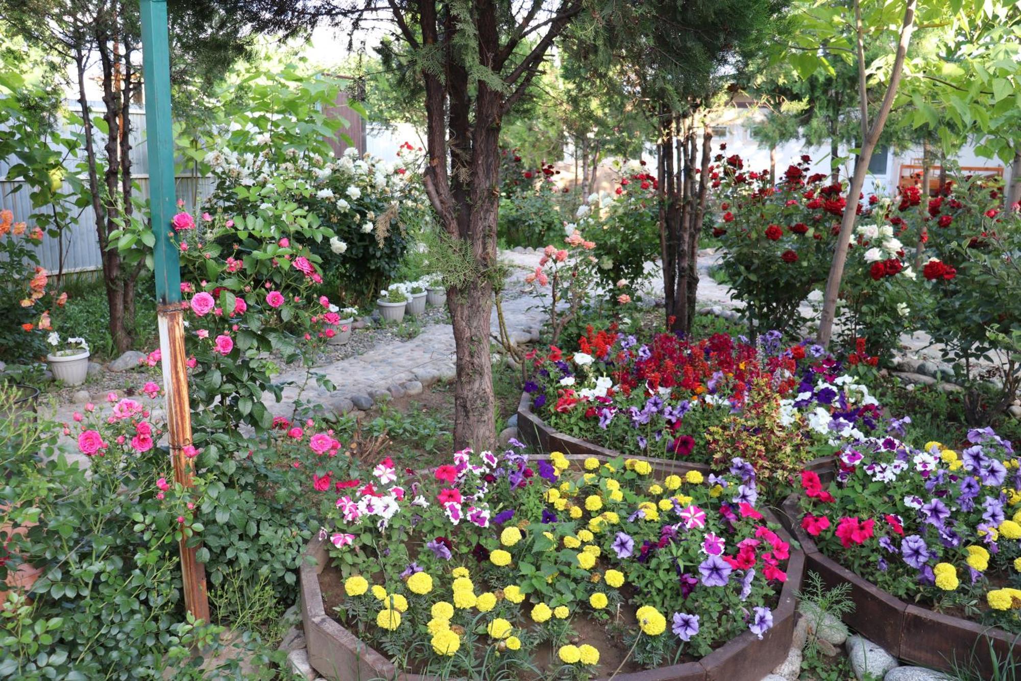 Happy Nomads Yurts & Hostel Karakol Exterior foto