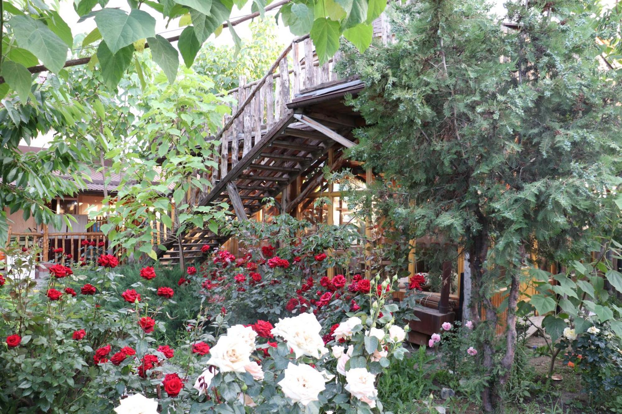 Happy Nomads Yurts & Hostel Karakol Exterior foto