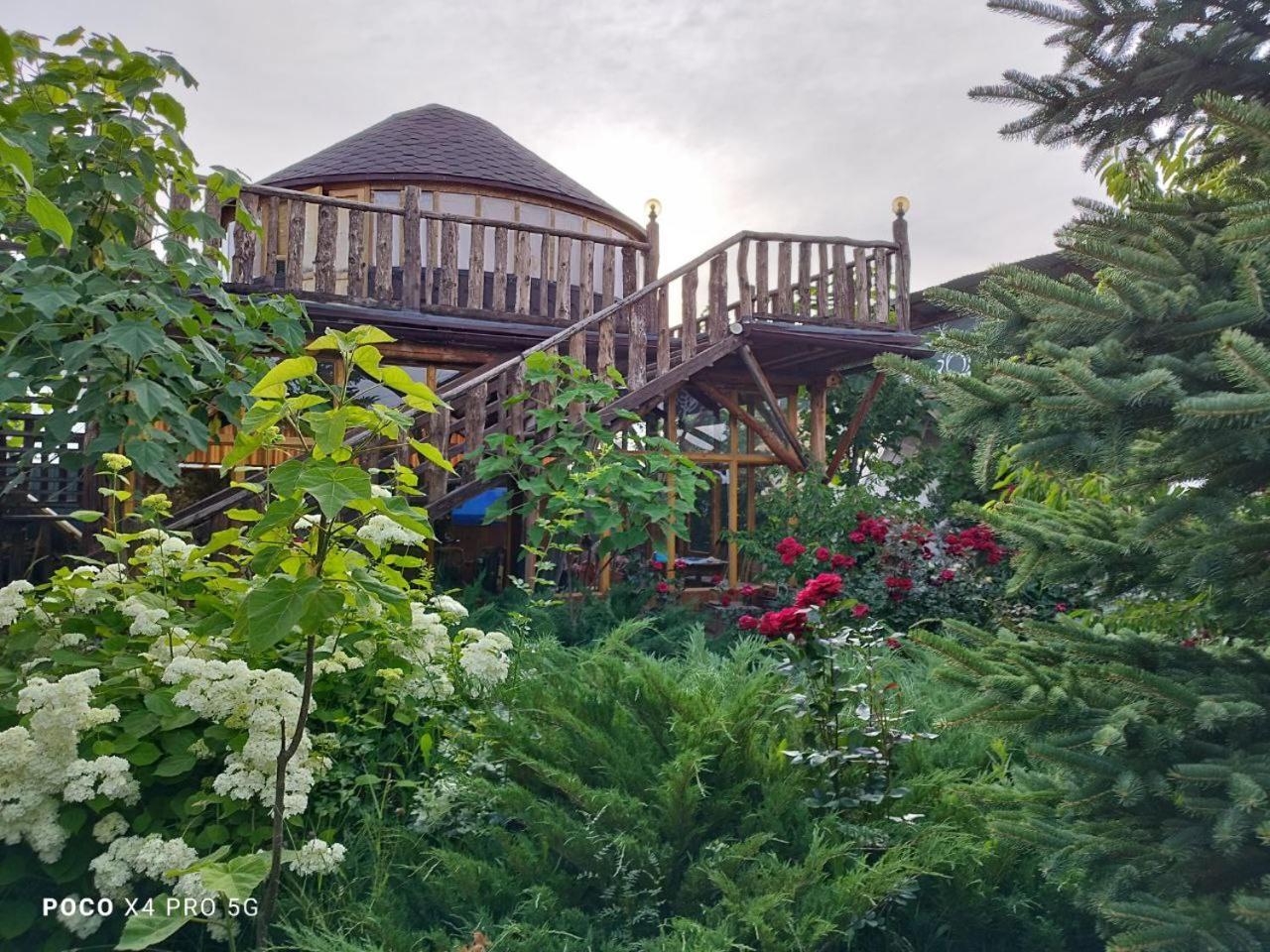 Happy Nomads Yurts & Hostel Karakol Exterior foto